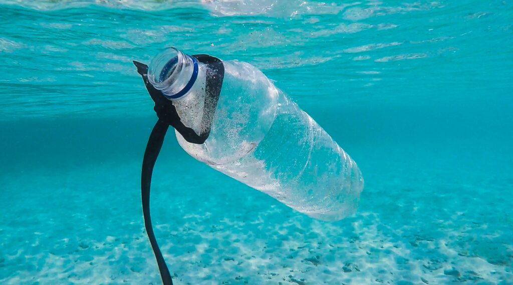 plastic bottle in the sea