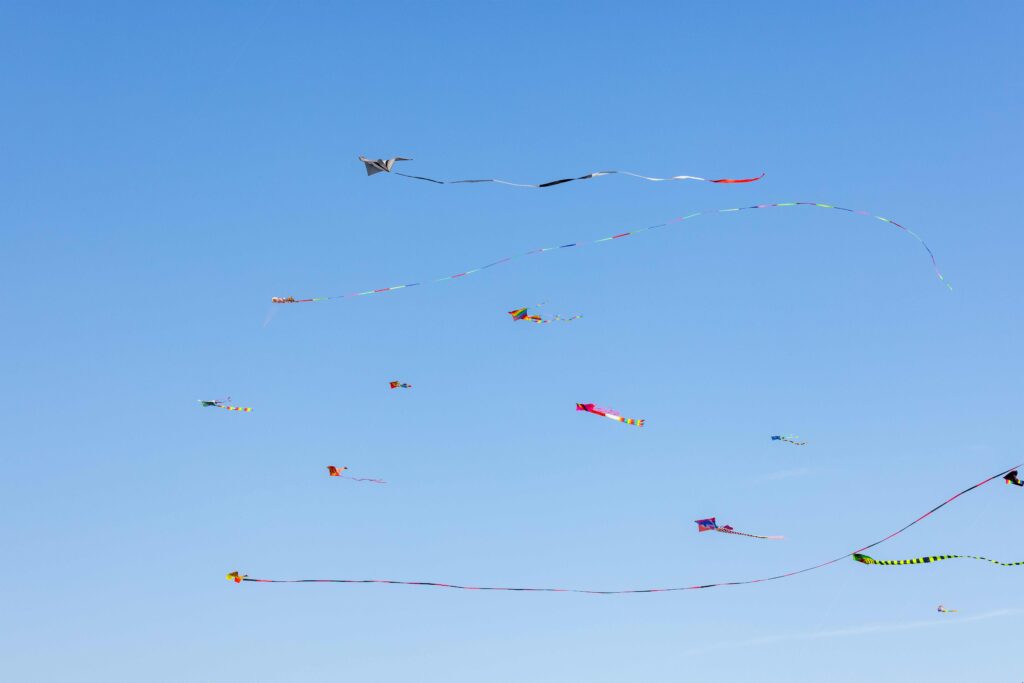 Kite fly over the blue sky