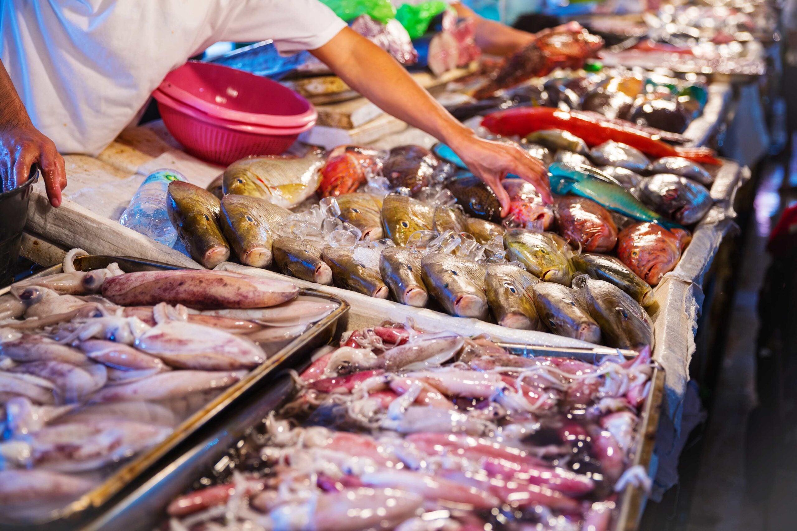 different kinds of seafood at fish market 2023 11 27 04 58 10 utc