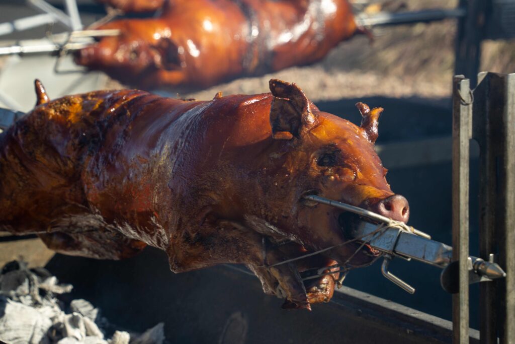 whole pigs roasting over hot coals 2023 11 27 05 34 09 utc
