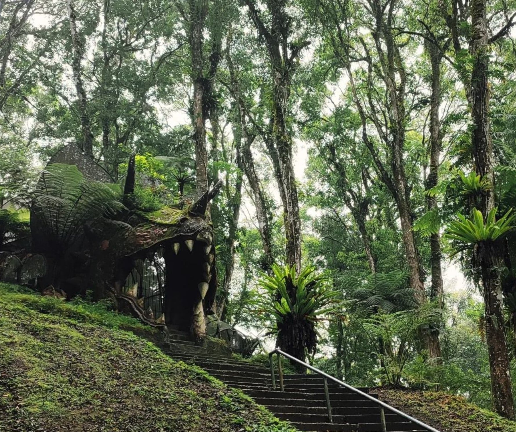 Bali botanical garden 2 2