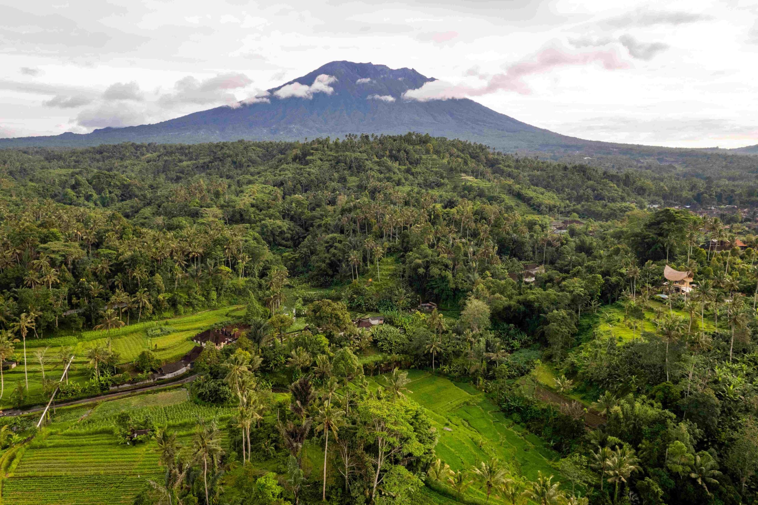 Aerial sunrise view of green rice fields close to Sidemen in Bali, Indonesia