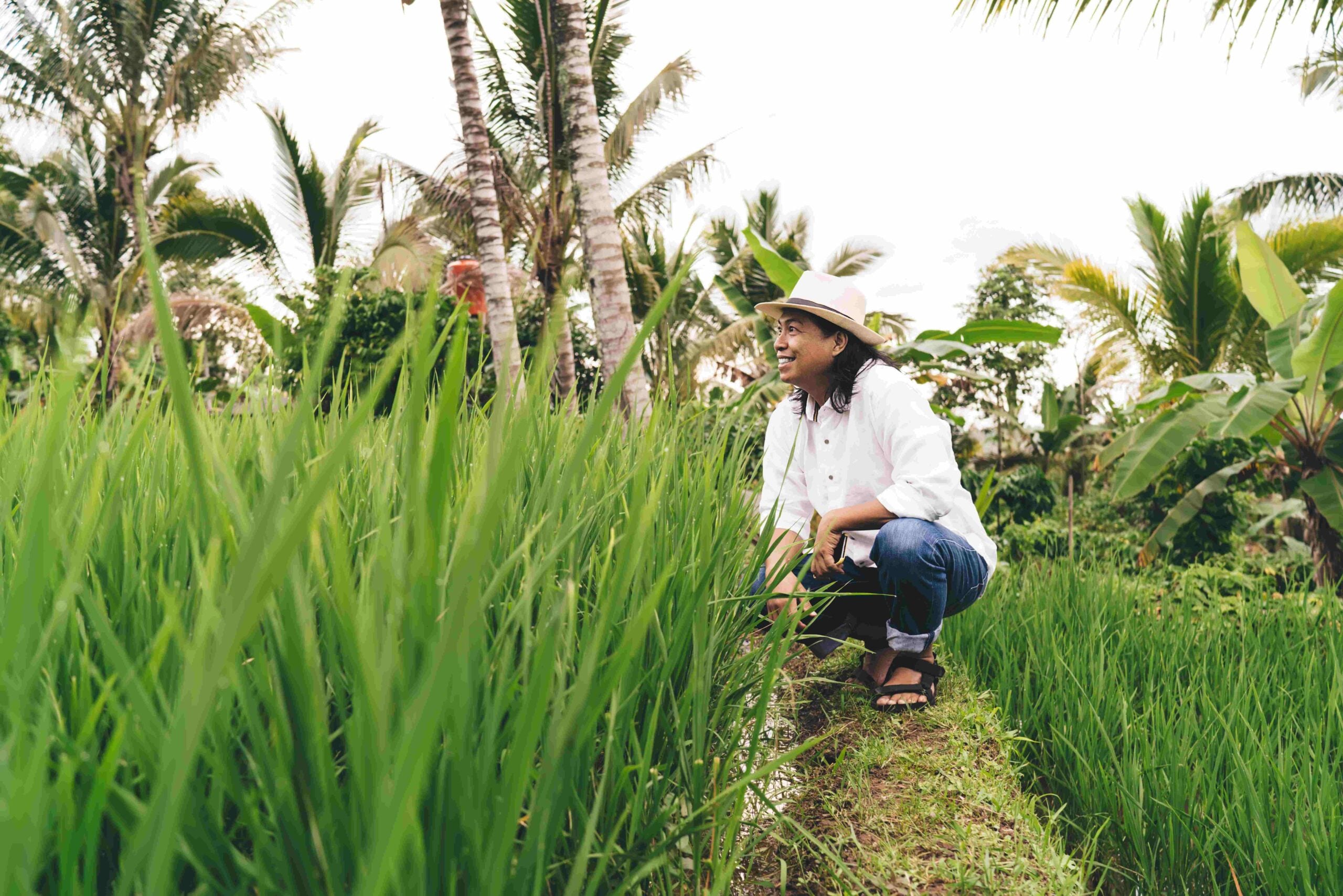 happy male farmer sitting near rice fields and smi 2023 11 27 05 04 53 utc