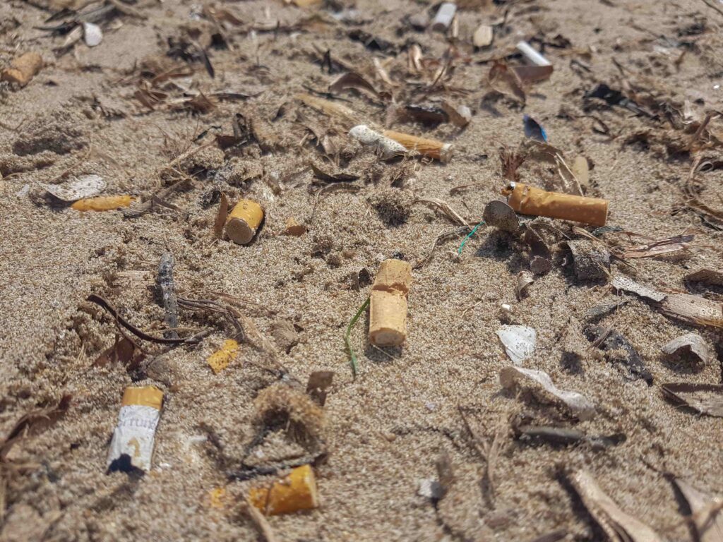 Closeup shot of used cigarettes on the sand in the beach pollution concept