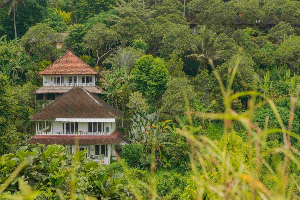 Landscape with houses in jungle near Campuhan ridge walk, Bali,