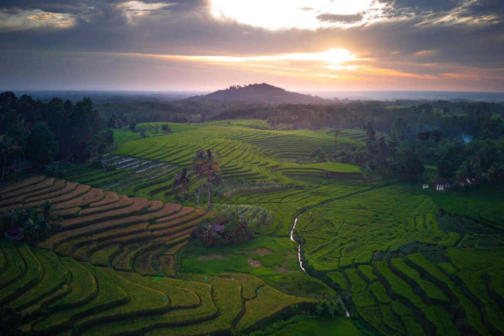 beautiful morning view from Indonesia of mountains and tropical forest