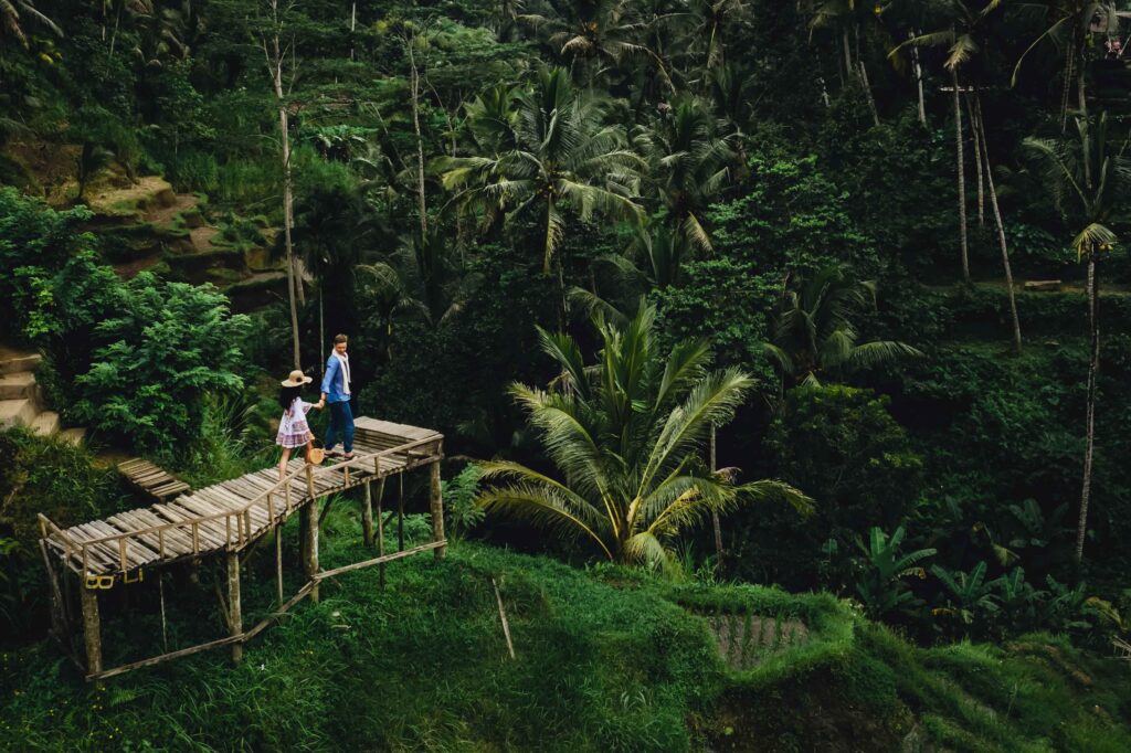 Couple standing on wooden bridge near rice terraces in Bali Indonesia Holding hands Romantic mood Tropical vacation Aerial shot On background coconut palm trees