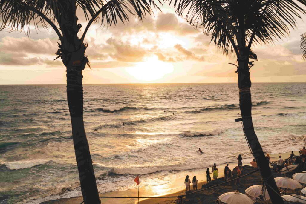 Exotic palms on sandy beach during beautiful sunset over sea