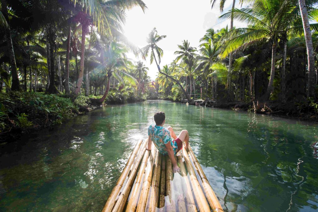 Leaning palm at Maasin river, Siargao