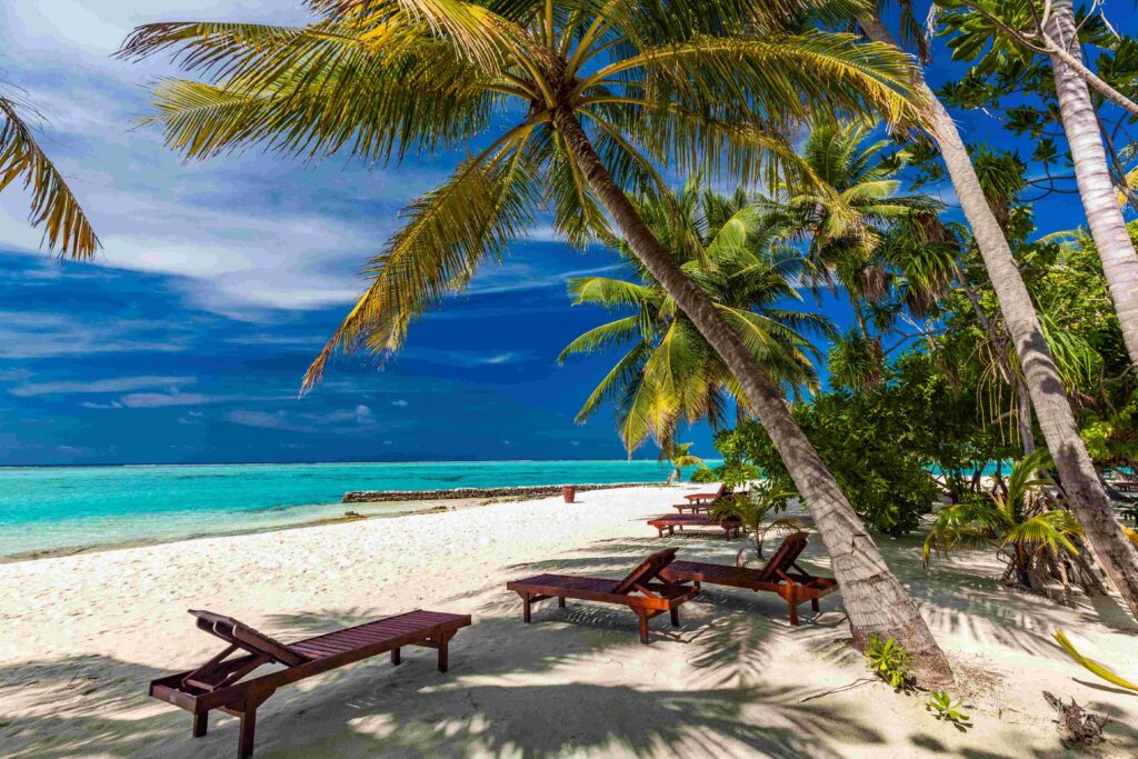 Tropical beach in Maldives with palm trees and vibrant lagoon