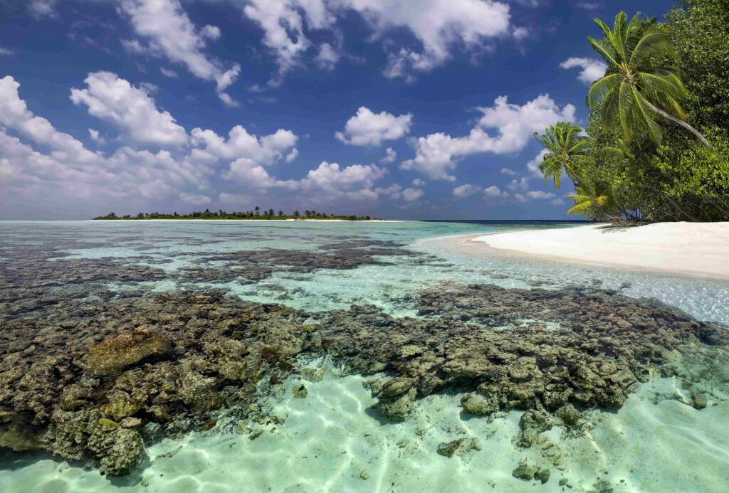 Tropical Paradise Maldives Indian Ocean