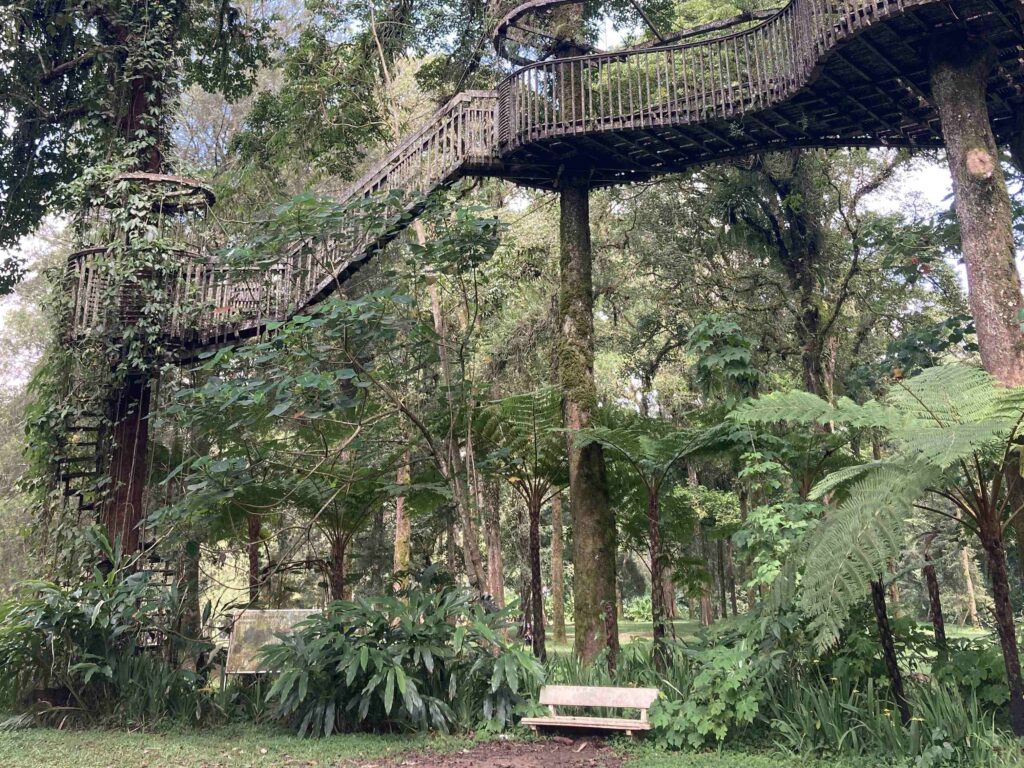 Bali Botanical Garden Bedugul 24051638 I Gusti Ayu Ratna Pramhita