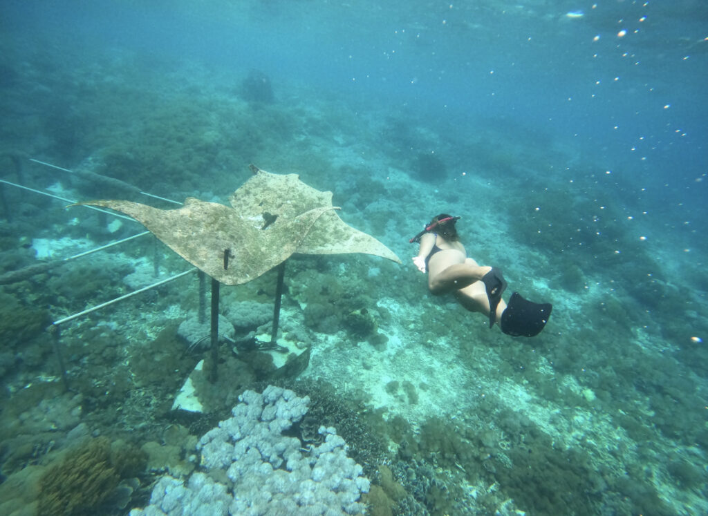 Manta Statue Nusa Lembongan Snorkling 23050066 Valensia Sugiarto