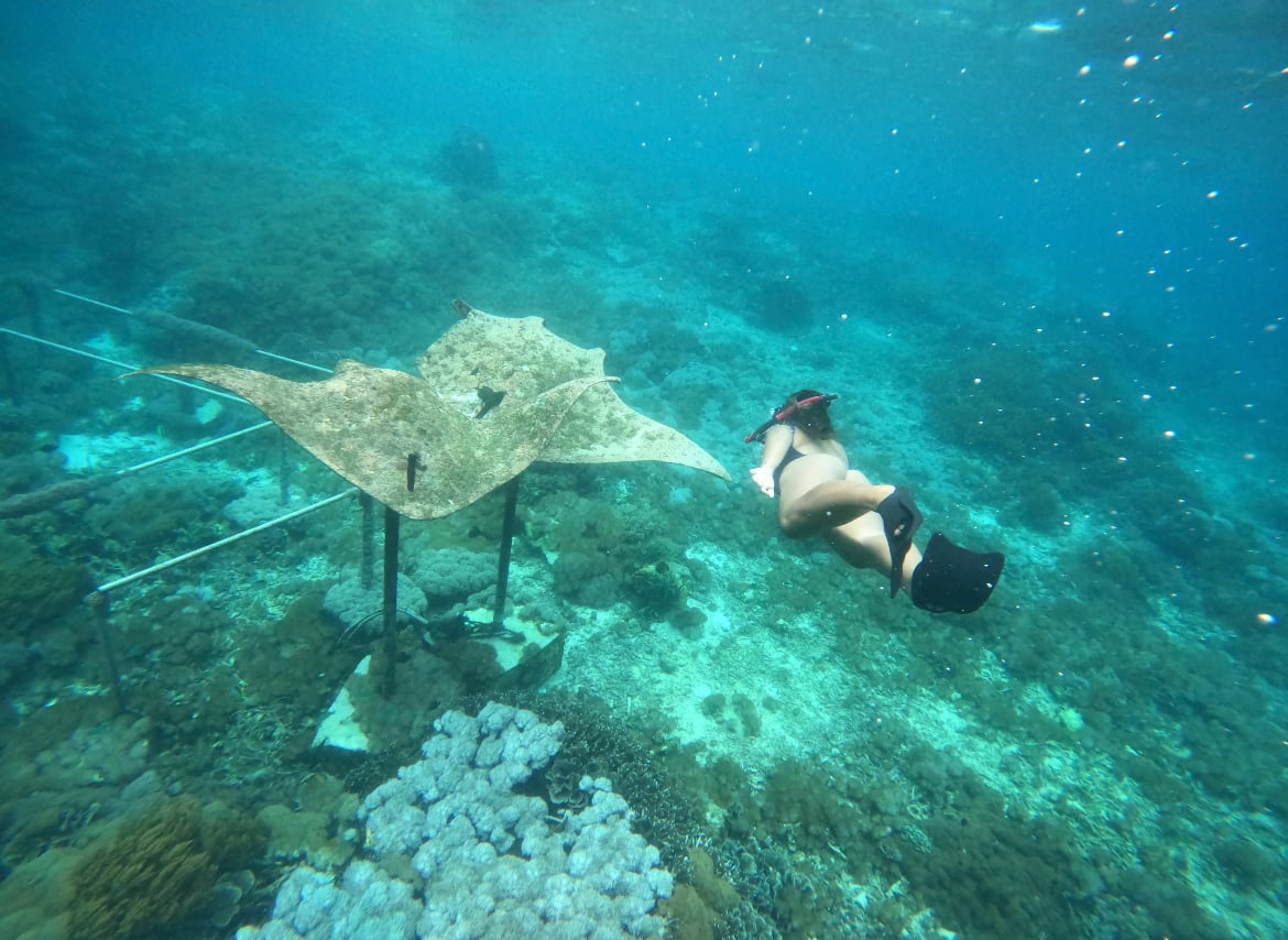 Manta Statue Nusa Lembongan Snorkling 23050066 Valensia Sugiarto