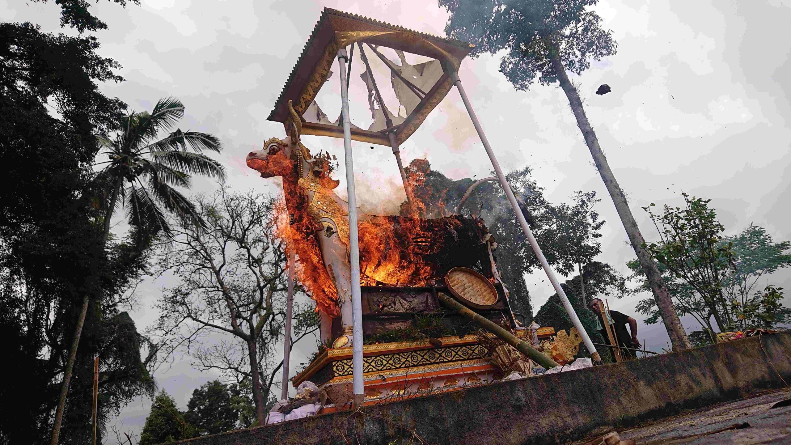 Ngaben in Bali Bangli Region 24031554 Ida Bagus Gede Naradigda