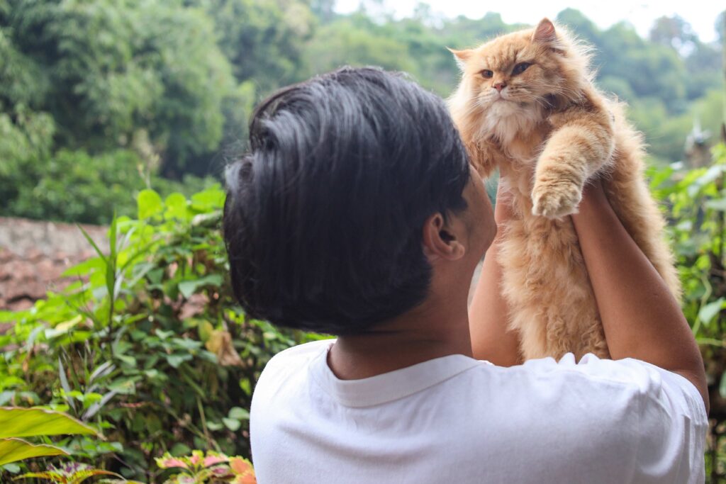 back view of young man and lifting brown cat play 2023 11 27 05 32 17 utc