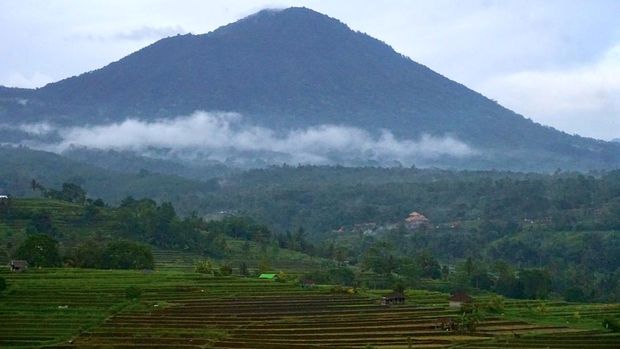 gunung batukaru tabanan 169 detikcom