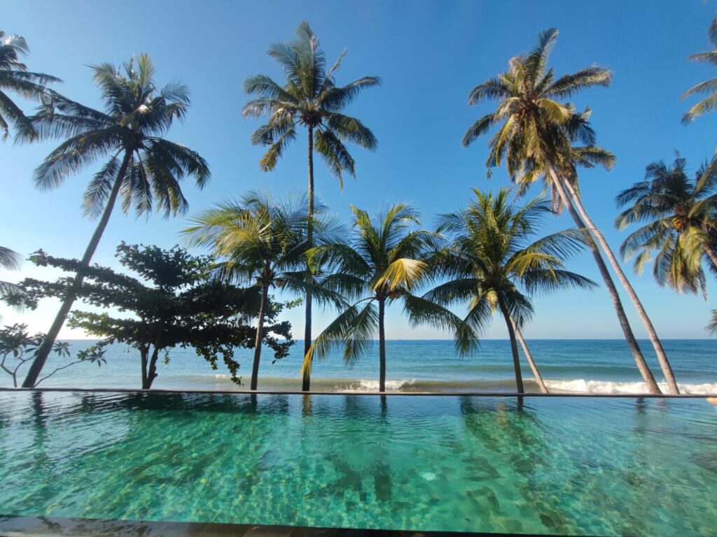 pool palm trees and sea view in northern bali buleleng 23070061 Oli