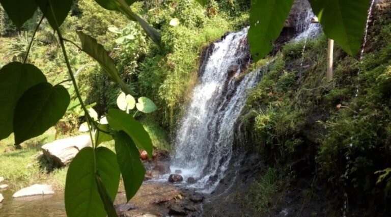 santhipalaspringwaterfall bali live 2