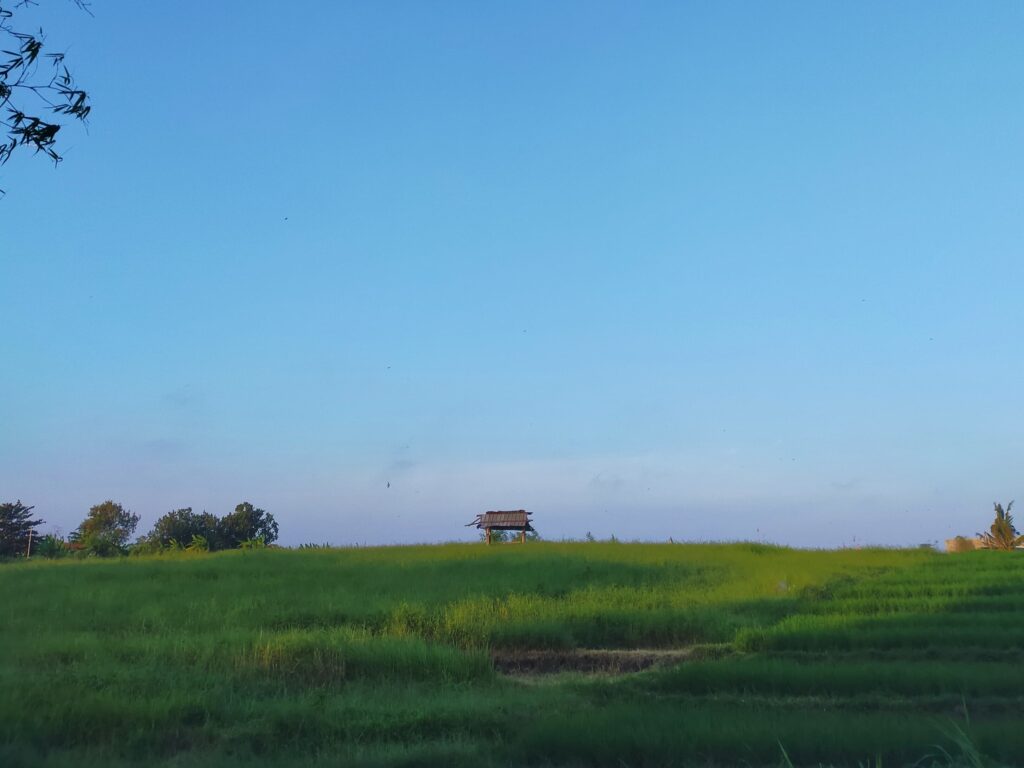 Berawa Rice Field Shack Dusk 24081863 I Komang Bayu Julius