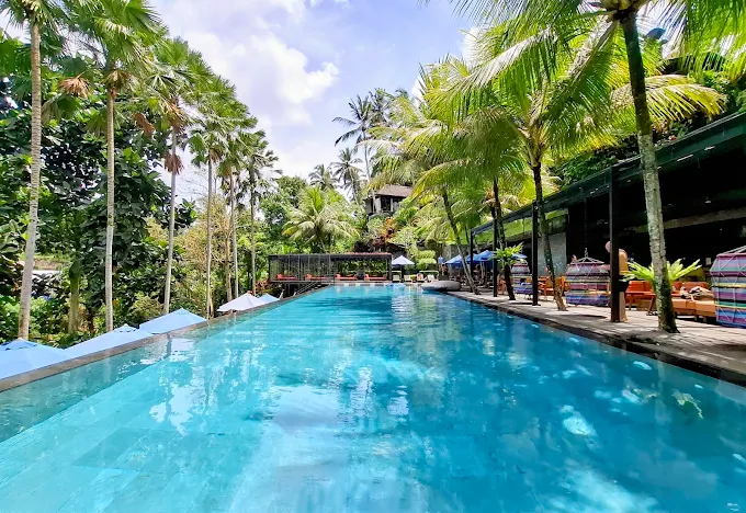 Jungle Fish Bali