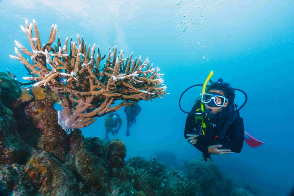 A man is diving in the ocean with a coral reef in the background