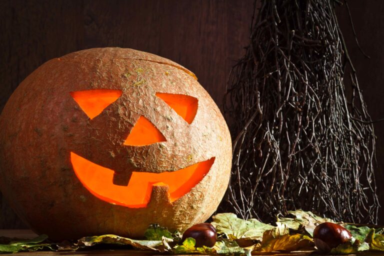 Pumpkins and broom on leafs