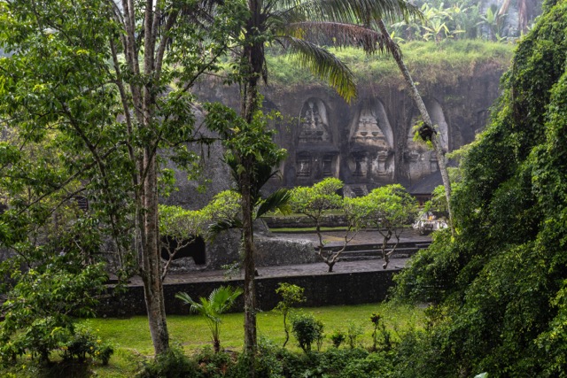 Shot of people sitting on benches by a wall with trees in the foreground