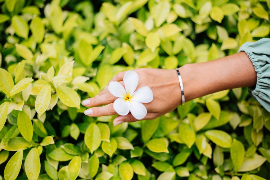 Tanned hand with natural manicure with jewerly cute silver bracelet holds white thai flower