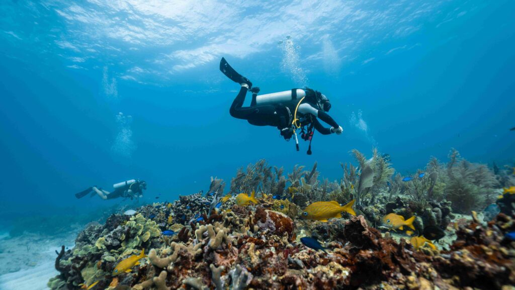 The loving couple dives among corals and fishes in the ocean