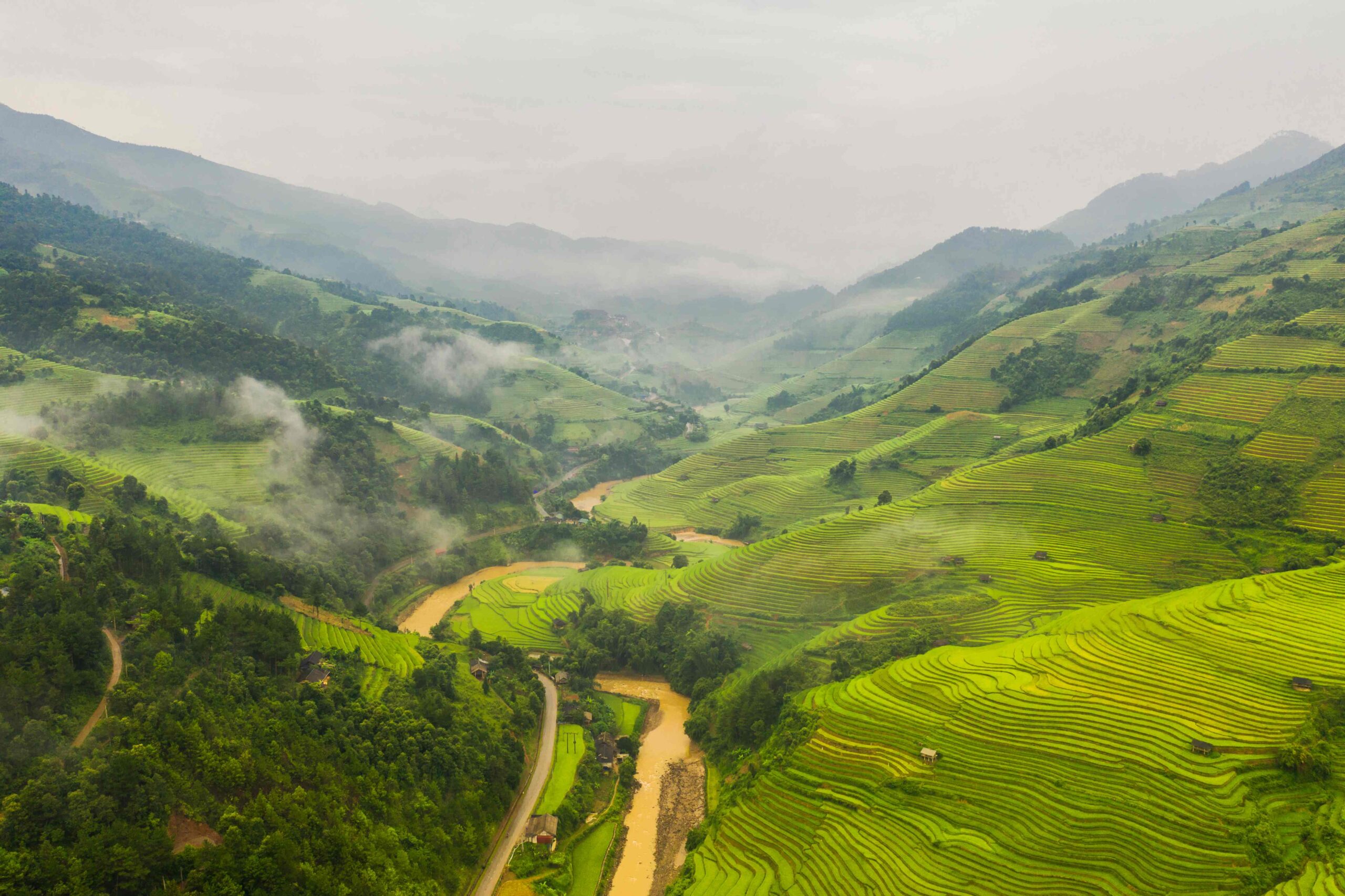 Aerial top view of paddy rice terraces, green agricultural fields in countryside or rural area of Mu Cang Chai, Yen Bai, mountain hills valley at sunset in Asia, Vietnam Nature landscape background