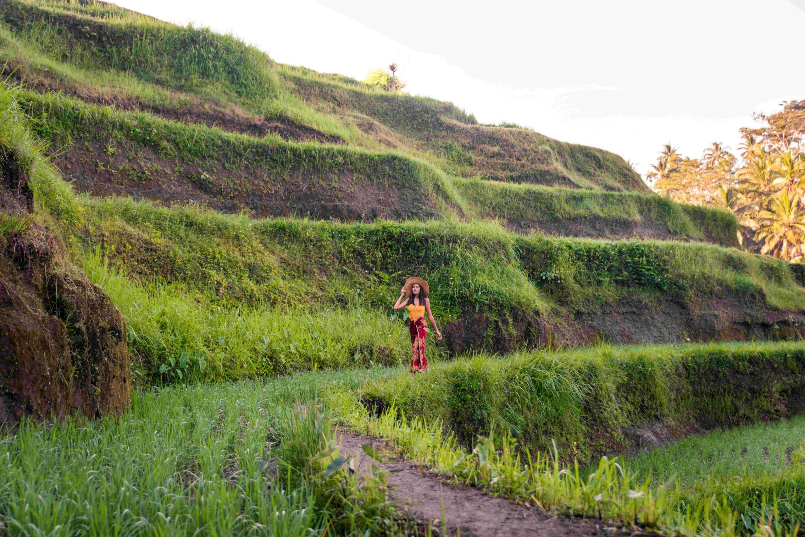 Woman at Tegalalang rice terrace in Bali