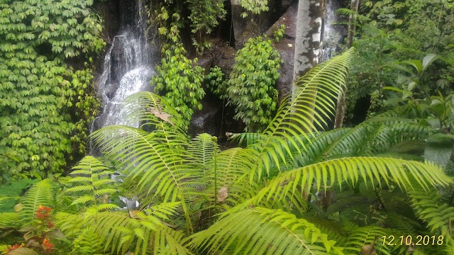 Waterfall Bangkiang Djaran