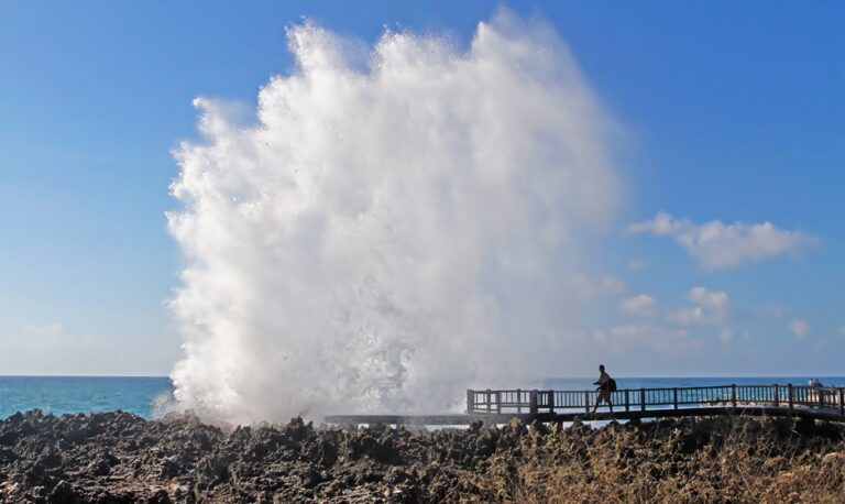 Waterblow Bali