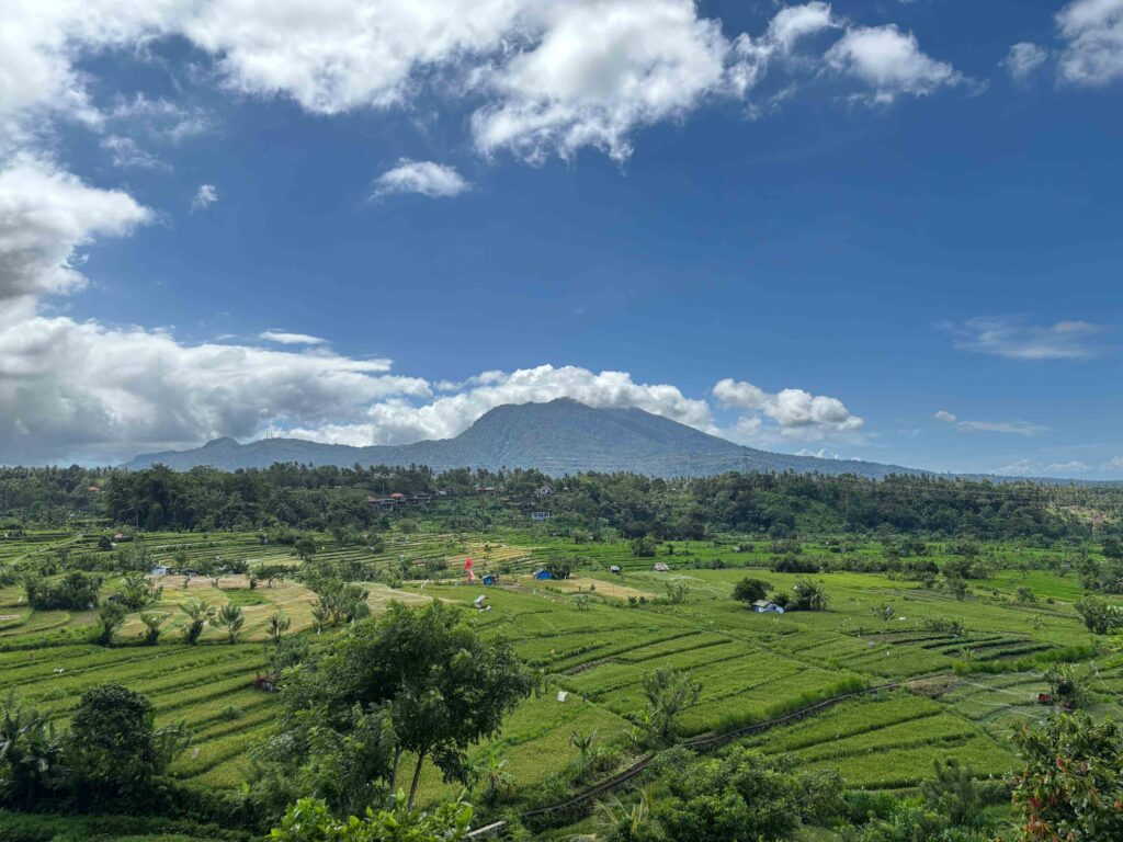 Karangasem Ababi Ricefields 24081863 Bayu Julius 023