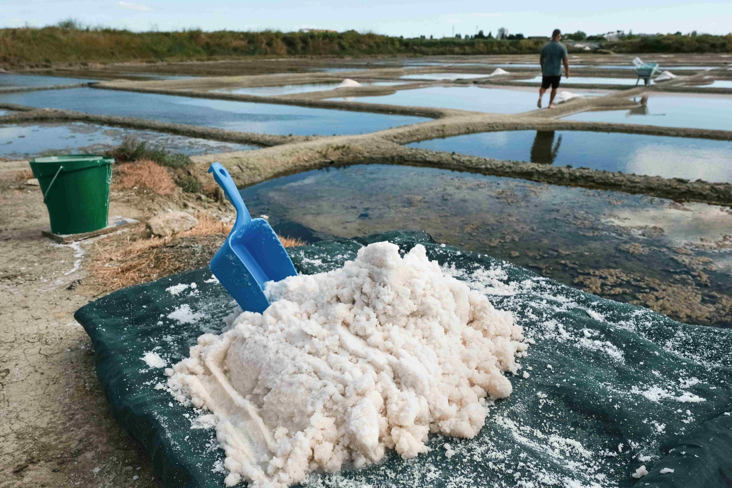 Closeup of natural salt with a plastic scoop Salt Harvesting, Guerande, Loire Atlantique, France