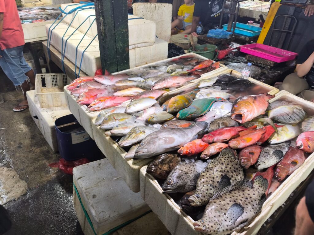 jimbaran fish market kendonganan 2025 photo by oliver p