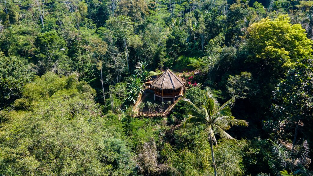 Bali Jungle Taksu