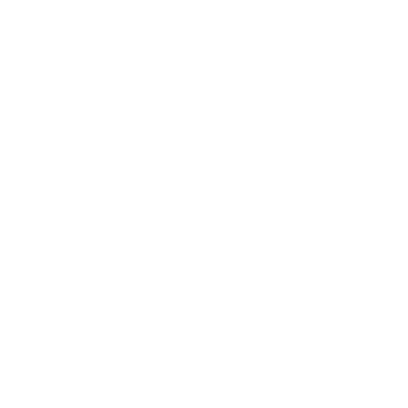 ICONS 01