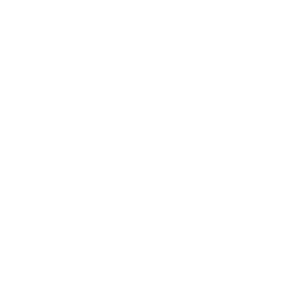 ICONS 04