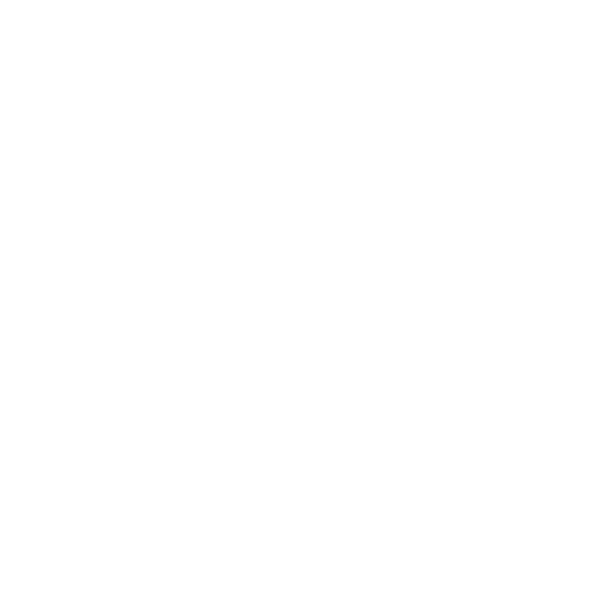 ICONS 05