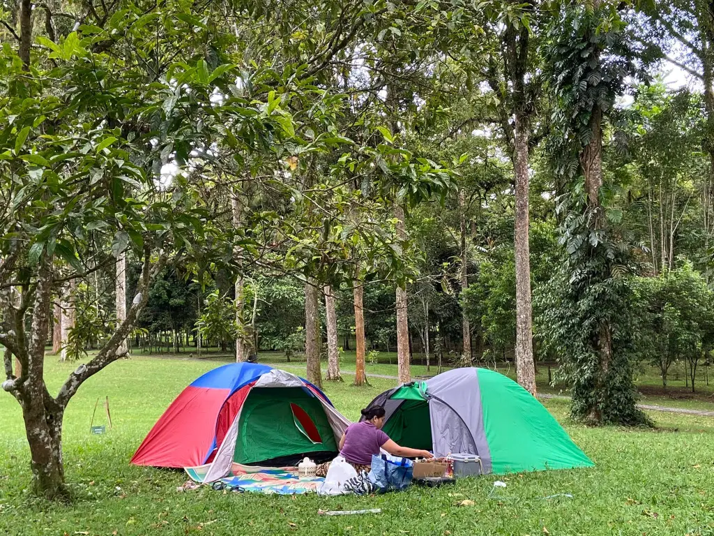 bedugul camp