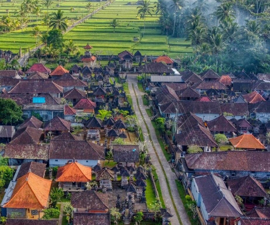 desa taro