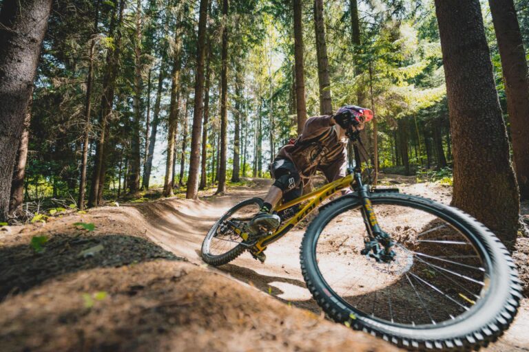 mountain biker riding on a forest dirt trail 2025 02 03 09 47 09 utc (1)