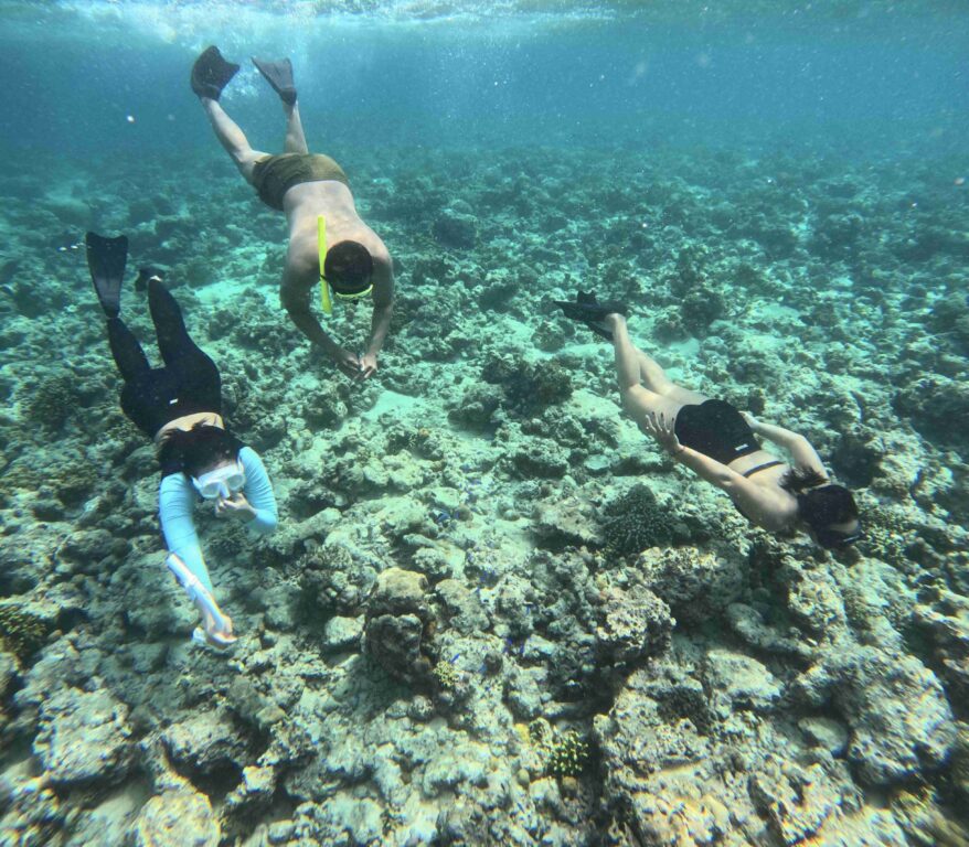 Snorkelling in Menjangan Island