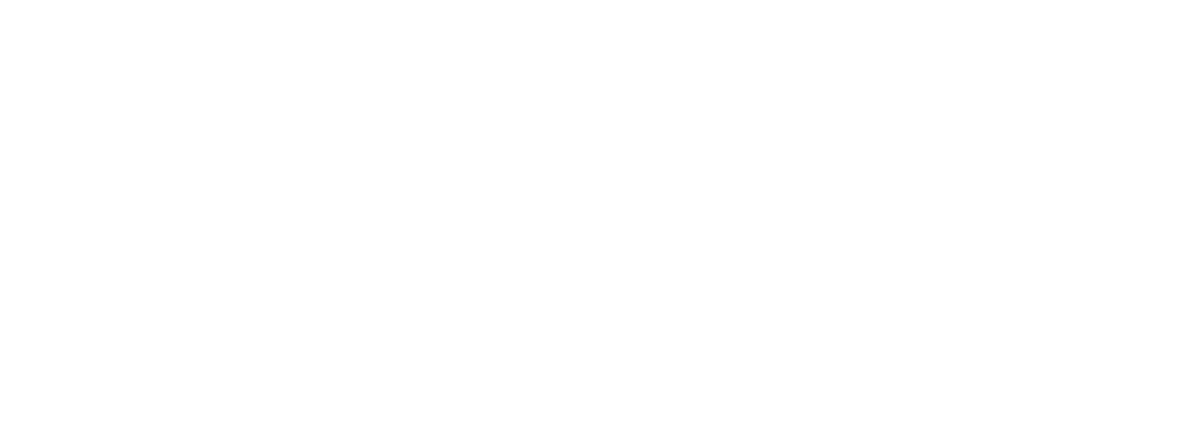 MONSOON LOGO white