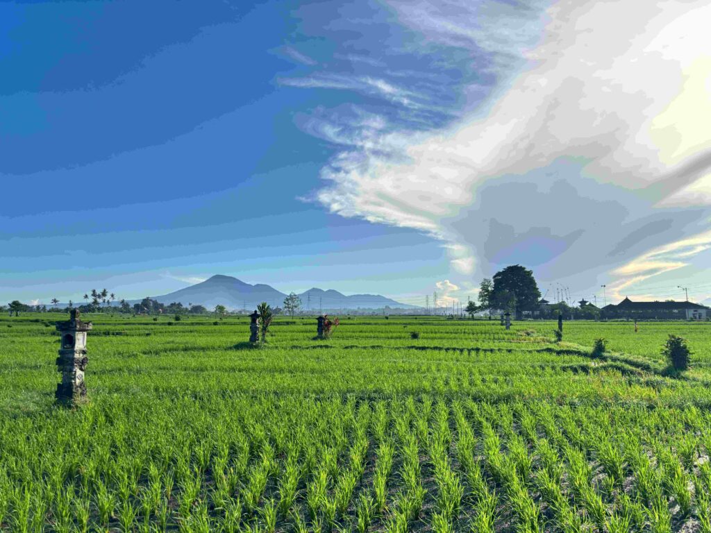 Mount Batukaru Tabanan 22120127 Ratna Dewi