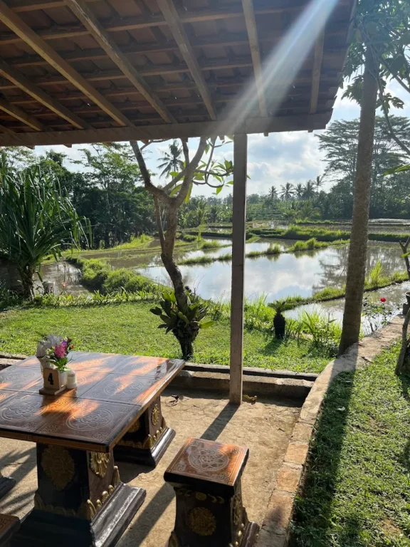 Warung Makan Padi Kuning