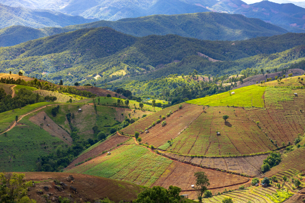Top view Terraced rice field at Mae Cham Chiangmai Northern Thai