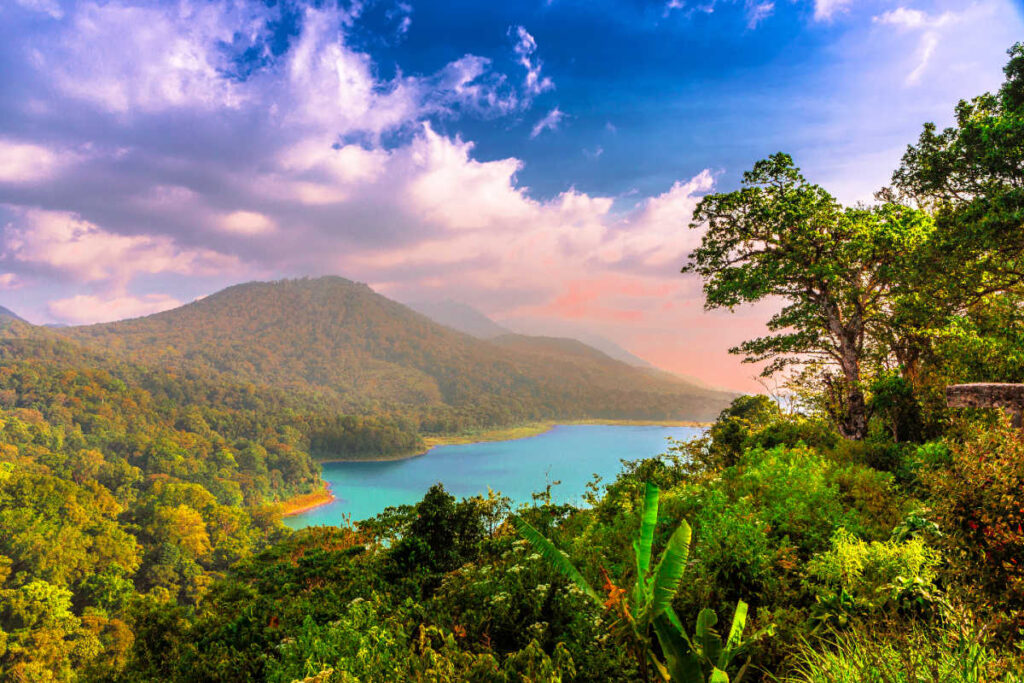 Balis Secret Lake Buyan Showcases Islands Untouched Natural Beauty To Tourists